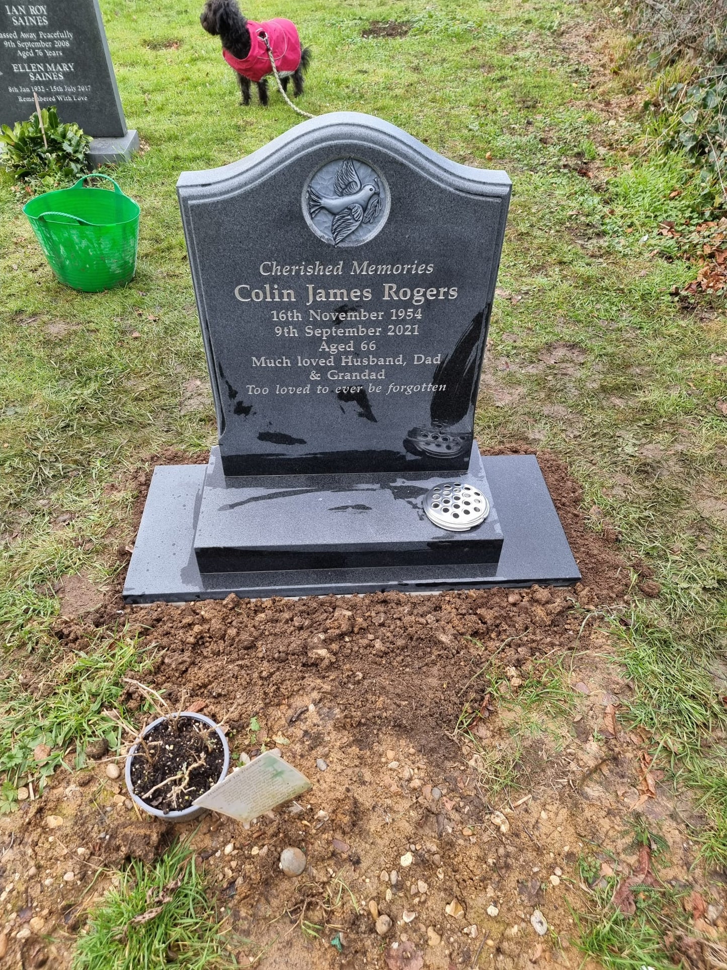 Deep Ogee Headstone With Carved Dove